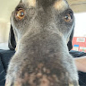 Meet your Posher, Logan